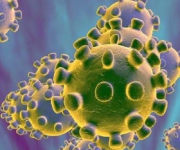 新冠肺炎2 新冠肺炎2